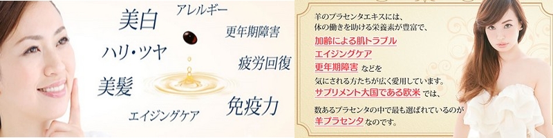 �n���E�c���̂��锧������X�����������K�Ńv���Z���^�t�@�[�X�g
���T�C�g